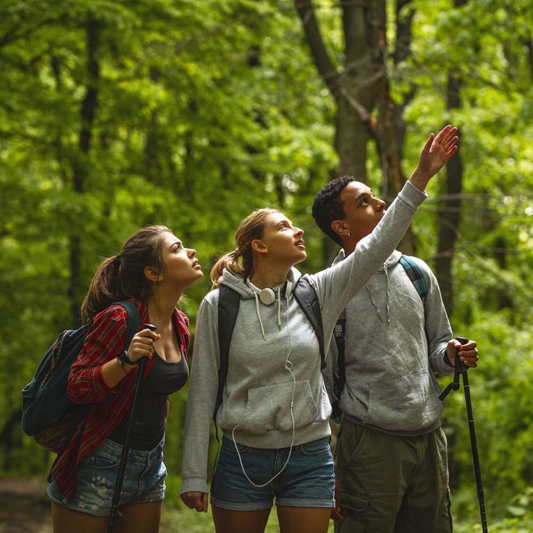 Drei Wanderer posieren lachend im Wald